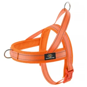 Durable Soft Mesh Padded Reflective Nylon Quick Fit Dog Harness with Transparent Plastic Buckle