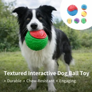 Durable TPR Squeaky Dog Ball Interactive Chew Toy for Teeth Cleaning and Bite Resistant Training Pet Toy