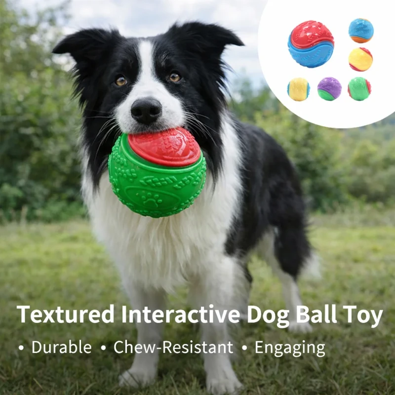 Durable TPR Squeaky Dog Ball Interactive Chew Toy for Teeth Cleaning and Bite Resistant Training Pet Toy