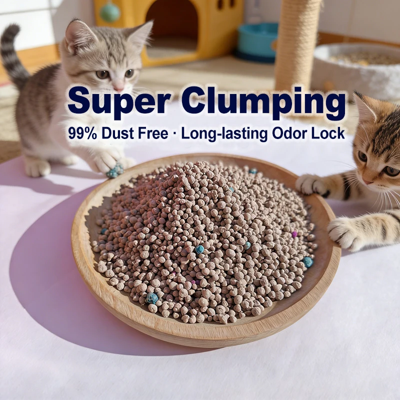 Dust Free Bulk Cat Litter Where to Buy Cat Sand Litter in Bulk Cat Litter Sand 10 Liters