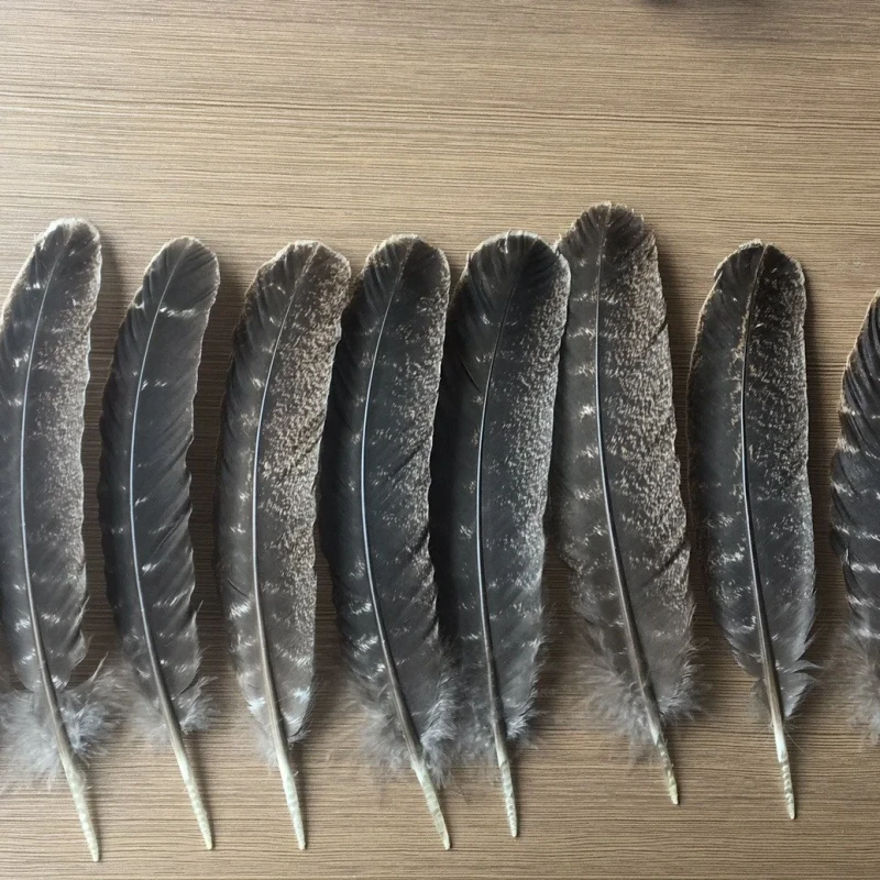 Dyed Black Blue White Raw Colorful Bulk Flower Plumas Natural Bird Wing Point Quill Tail Turkey Feathers Hat Decoration