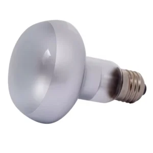 E27 Reptile Lamp Day White Spot Reptile Uvb Bulb for Amphibians