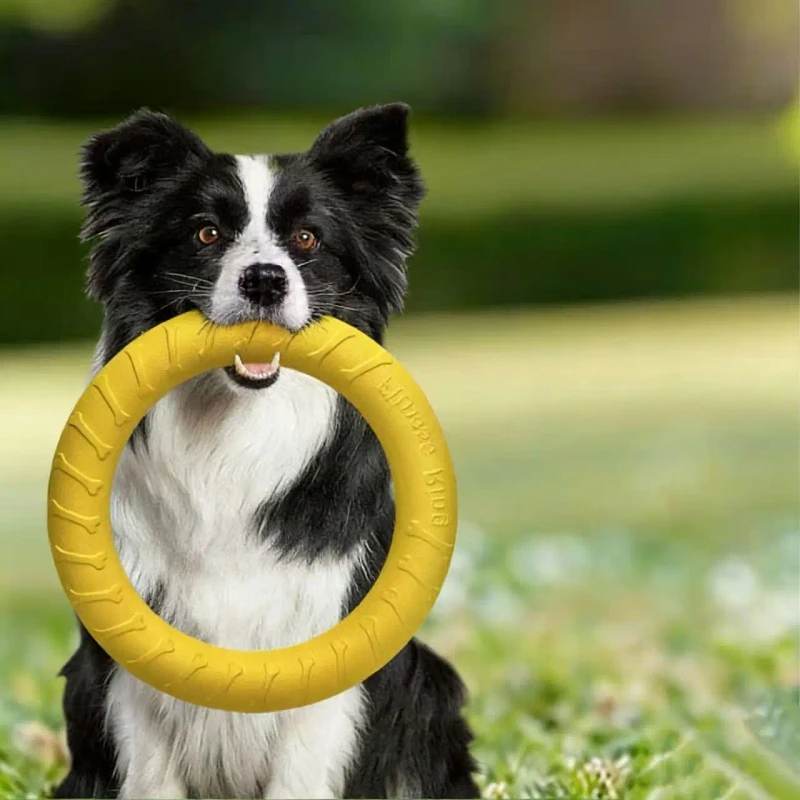 EVA Eco friendly Dog Play Chew Resistant Boredom Relief Toy for Large Dogs (Border Collie Golden Retriever Puppy) Model LH-1