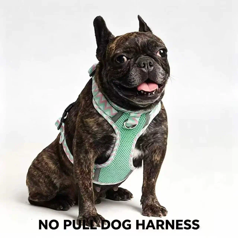 Easy Walk Dog Harness Adjustable Breathable Mesh Pet Vest Harness With Front Clip and Dual D Rings for Small Medium Dogs
