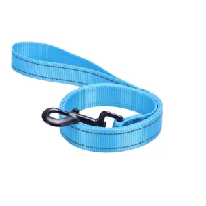 Eco Friendly 11 Colors Solid Pattern Durable Nylon Webbing Pet Dog Leash with Ribbon Decoration and Custom Logo