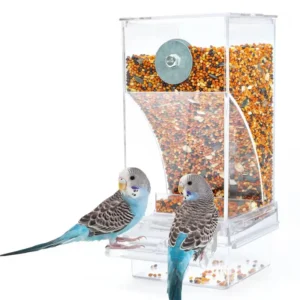 Eco Friendly Acrylic Bird Parrot Cage Accessories Bird Feeders