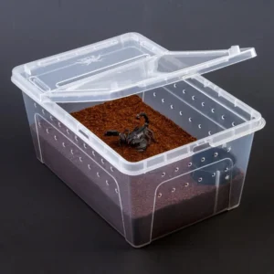 Eco-Friendly Acrylic & Plastic Reptile Terrarium Pet Bed for Small Animals