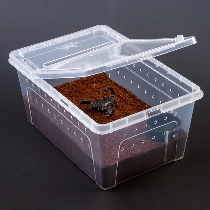 Eco-Friendly Acrylic & Plastic Reptile Terrarium Pet Bed for Small Animals