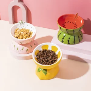 Eco-Friendly Ceramic Cat Bowl Elevated Slanted Neck Protection Food Water Feeder Fruit Design Pet Dish Pet Accessories Supplies