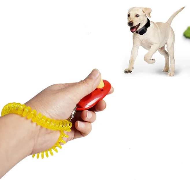 Eco Friendly Colorful Plastic Dog Agility Training Sounder Clicker ISO9001 Certified