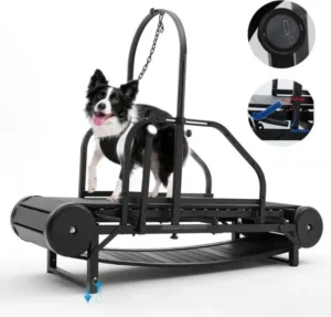Eco Friendly Customizable Powerful Indoor Outdoor Stainless Steel Dog Treadmill Walking Machine Training Pet Supplies