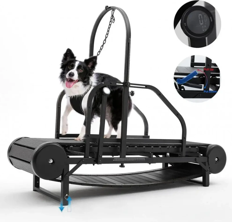 Eco Friendly Customizable Powerful Indoor Outdoor Stainless Steel Dog Treadmill Walking Machine Training Pet Supplies