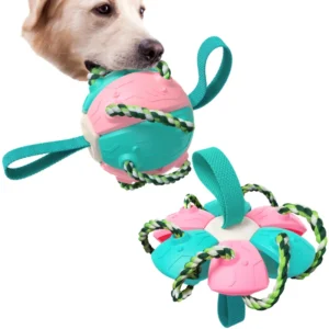 Eco Friendly Cute Solid Pattern Plastic Pet Supply New Outdoor Fashionable Interactive & Movement Football Training Dog Toy