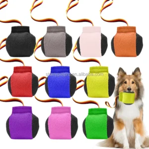 Eco Friendly Dog Agility Training Toy Durable Fetch Toy Interactive Training Equipment for Dogs Outdoor Training Supplies