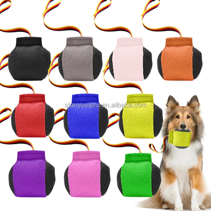 Eco Friendly Dog Agility Training Toy Durable Fetch Toy Interactive Training Equipment for Dogs Outdoor Training Supplies