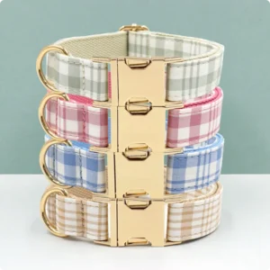 Eco Friendly Dog Collar Multi Color Nylon with Solid Pattern Laser Writing Modern Design and Metal Buckle