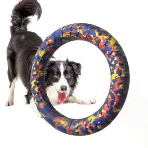 Eco-Friendly EVA Foam Dog Pull Ring Chew Toy for Tug Game