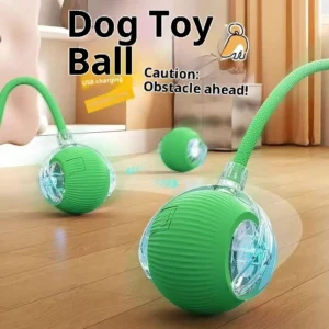 Eco-Friendly Interactive Pet Toy Self-Relief Artifact Cat and Dog Toy Cross-Border Pet Supplies and Supplies