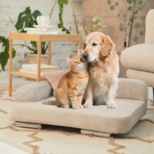 Eco Friendly Pet Rectangular Nest and Kennels Dog Sofa Bed Fabric Nest Bed with Carton Packing with Chrome plated Legs