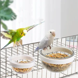 Eco Friendly Pet Supplies for Parrots Water Small Round Transparent Bird Food Box Feeder Bowl