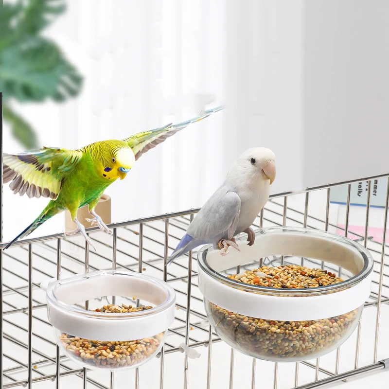 Eco Friendly Pet Supplies for Parrots Water Small Round Transparent Bird Food Box Feeder Bowl