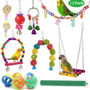 Eco Friendly Plastic Bird Toy Set for Parrots All Holidays