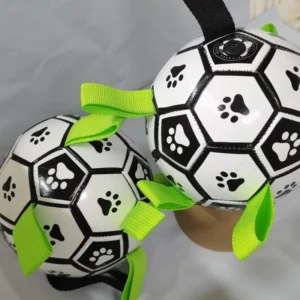 Eco Friendly Plastic Bite Resistant Corgi Football Chew Toy Small Large Dogs Interactive Pet Ball