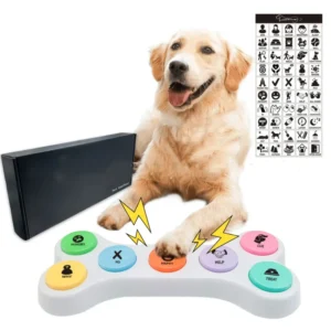Eco Friendly Plastic Interactive Dog Speech Training Buzzers 30 Second Recording Macaron Color Tug War Pet Talking