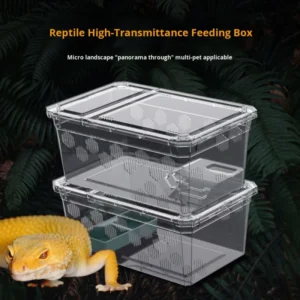 Eco Friendly Plastic Reptile Breeding Box for Snakes Spiders Scorpions Centipedes Insects Horned Frogs Indoor Outdoor Use