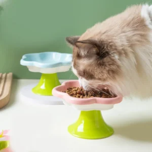 Eco Friendly Portable Modern Ceramic Pet Feeder and Drinking Bowl Solid Pattern Non Slip Base for Cats Dogs Indoor Outdoor Use