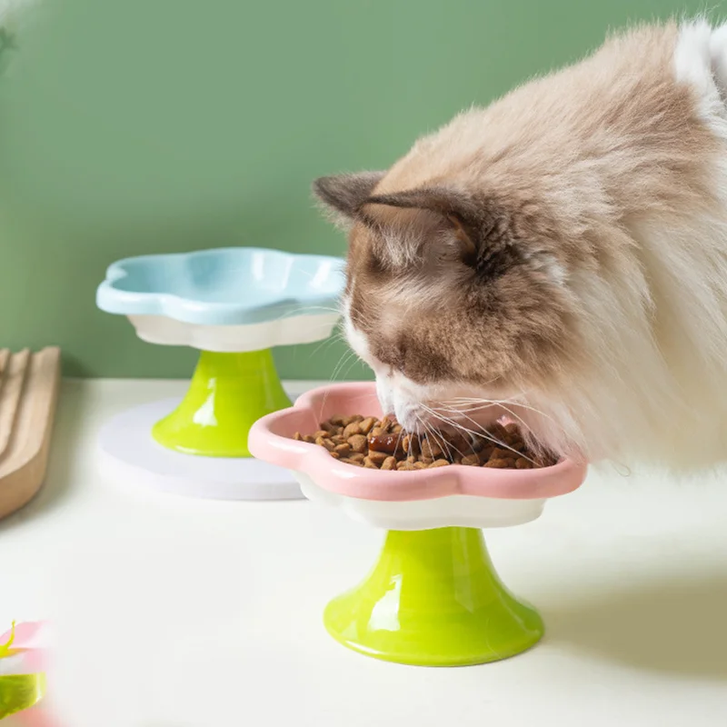 Eco Friendly Portable Modern Ceramic Pet Feeder and Drinking Bowl Solid Pattern Non Slip Base for Cats Dogs Indoor Outdoor Use