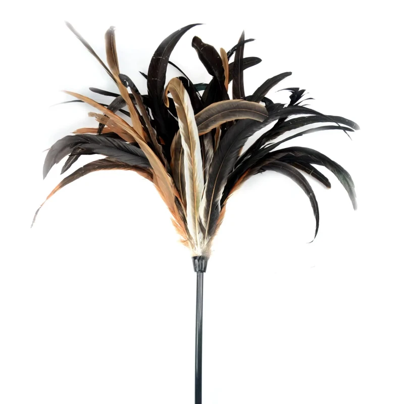 Eco-Friendly Reusable Rooster Chicken Feather Duster Handheld Natural Color Cleaning Supplies Wood Handle for Home Car Office