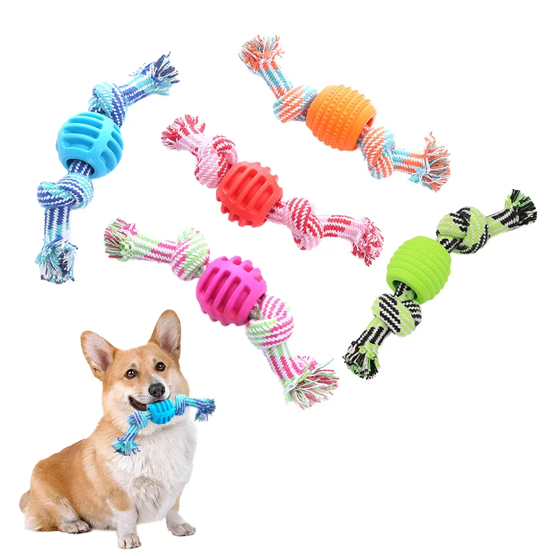 Eco Friendly Small Animal Chew Toy TPR Made Pet Play Toy for Dogs and Cats