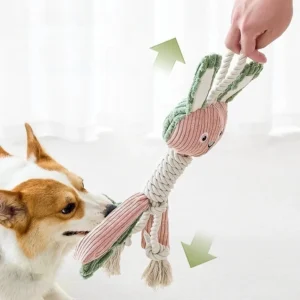 Eco Friendly Squeaky Plush Dog Toy Bite Resistant Interactive Pet Toy for Fun Playtime
