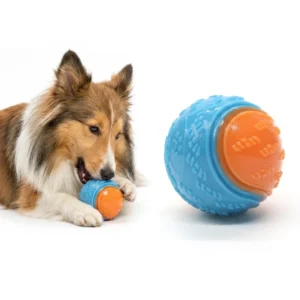 Eco Friendly TPR Material Large Dog Chew Toy Cute Casual Design Natural Rubber Interactive Training Ball Anti Grit Squeak