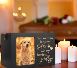 Eco Friendly Wooden Pet Memorial Urn with Photo Frame for Dog Keepsake