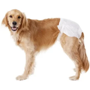 Eco friendly Pet Cleaning & Grooming Products Disposable Dog Pet Diaper
