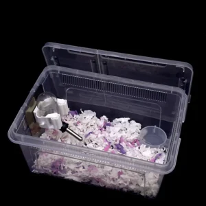 Eco-friendly Plastic Reptile Feeding Box for Ciliary Horn Spider Frog Insect Turtle Snake Anti-escape Design