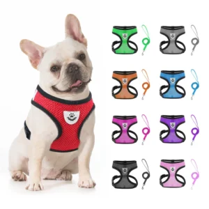 Eco friendly Solid Polyester Small Dog Reflective Pet Harness with Chest Strap Chain RIBBONS Decoration for Dogs Cats