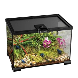 Ecological Aquarium Terrarium for Reptiles Glass Rainforest Pet Habitat with Snap Button Closure Boxed