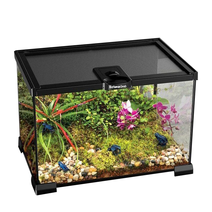 Ecological Aquarium Terrarium for Reptiles Glass Rainforest Pet Habitat with Snap Button Closure Boxed