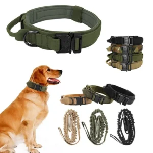 Elizabethan Military Style Outdoor Training Equipment Solid Pattern Nylon Dog Collar Leash Ribbon for Tactical Pet Dogs