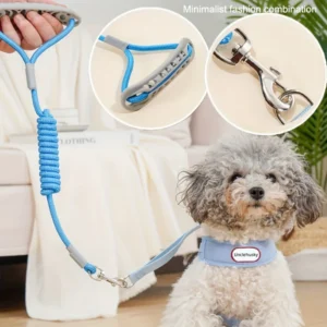 Escape Proof No Pull Dog Harness Leash Set with Soft Handle Adjustable Durable Nylon Fabric for Small Dogs Outdoor Walking