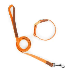 Escape Proof Nylon Solid Training Collar & Leash Set with Ribbons for Small & Medium Dogs Fashion Simple Modern Classic