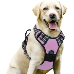 Expandable Tactical Nylon Dog Leash Button Closure Chest Strap Harness for Large Dogs Pet Walking Training Supplies