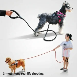 Extended Personalized Solid Classic Nylon Polyester Reflective Cat Dog Leash Dog Chain Outdoor Dog Walking Explosion Proof