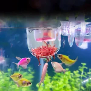 Factory Aquarium Decoration Hanging Fish Tank Mini Crystal Acrylic Glass Water Planting Cylinder Cup Feeding Accessories