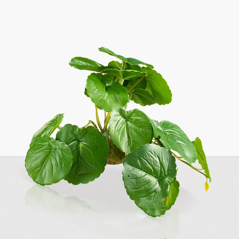 Factory Artificial Amphibian Resin Reptile Plant Decor Aquarium Fish Tank Aquascape Decoration Ornaments