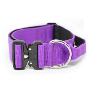 Factory Custom 100% Nylon Luxury Style Pet Dog Collar With Metal Buckle Tactical Collars for Dogs Cats Outdoor Training Walking