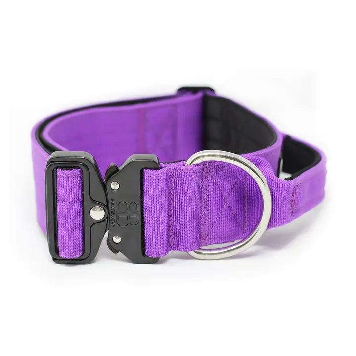 Factory Custom 100% Nylon Luxury Style Pet Dog Collar With Metal Buckle Tactical Collars for Dogs Cats Outdoor Training Walking
